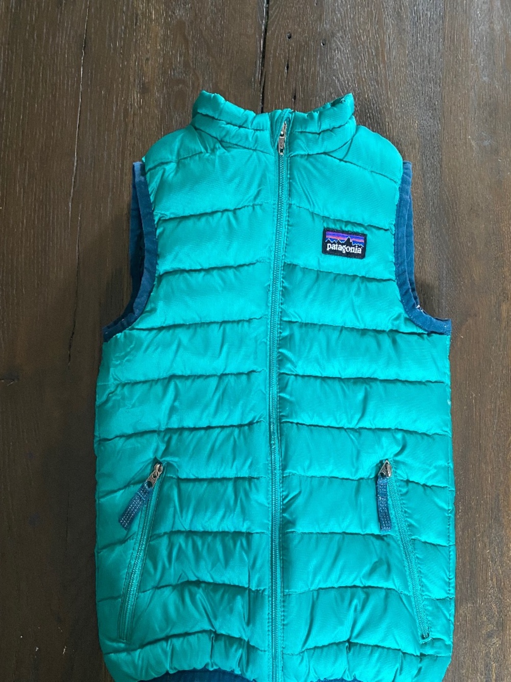 Patagonia vest toddler